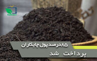 60 میلیارد تسهیلات برای احیای باغات چای در نظر گرفته ایم