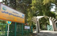 ۶ دانشگاه برتر ایران در رتبه بندی جهانی اعلام شد
