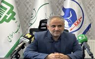  صادرات جوجه یک‌روزه پشت سد بروکراسی