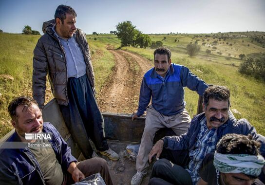 گالری