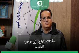 مشکلات ناترازی در حوزه گلخانه ها