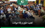 اهمیت حقوق و رفاه حیوانات