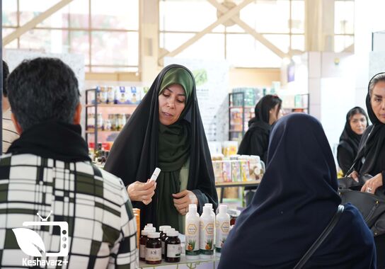 گالری