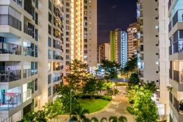 برای مقابله با موج‌های مرگبار گرما، درخت بکارید