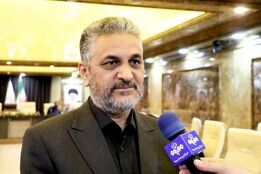 مشاور وزیر جهاد کشاورزی: امنیت غذایی یک زنجیره به‌ هم‌ پیوسته است