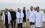 درخشش صنایع شیر ایران در توفان جنگ؛ نجات سفره‌های مردم از قحطی لبنیات