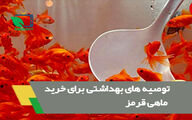 نکات بهداشتی که هنگام خرید ماهی قرمز باید رعایت شود