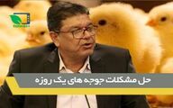 حل مشکلات جوجه های یک روزه