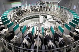 «اینوفارم»؛ پیوند نوآوری با صنعت دام، طیور و آبزیان در تهران