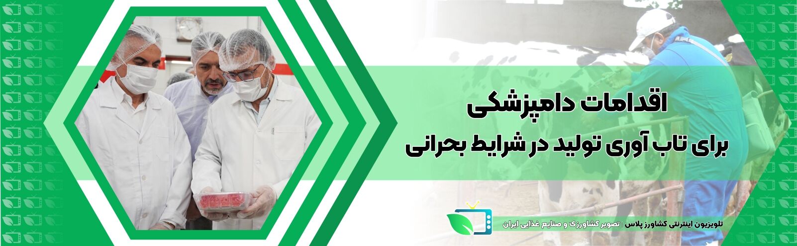 اقدامات دامپزشکی برای تاب آوری تولید در شرایط بحرانی