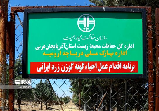 گالری