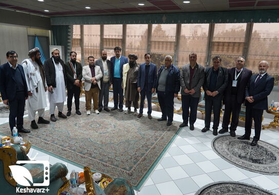 گالری