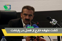 کشت علوفه خارج از فصل درپایتخت 