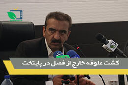 کشت علوفه خارج از فصل درپایتخت 