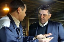 حرکت کشت و صنعت پارس به‌سوی هاب منطقه‌ای تولید بذر علوفه‌ای