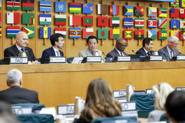 فائو: بیماری‌های دام‌های مرزی تهدید فوری امنیت غذایی جهان هستند