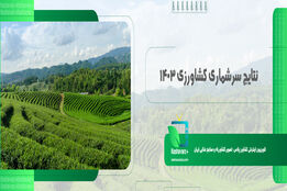 نتایج سرشماری کشاورزی ۱۴۰۳