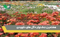 هفتمین جشنواره گل های داودی 