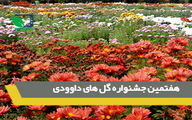 هفتمین جشنواره گل های داودی 