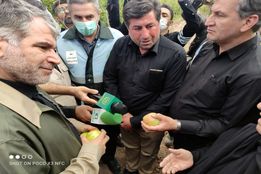 بازدید وزیر جهاد کشاورزی از باغات سیل زده استان تهران