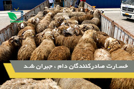 جبران خسارت صادرکنندگان دام
