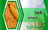 بازار ذرت؛ تعادل روی لبه تیغ