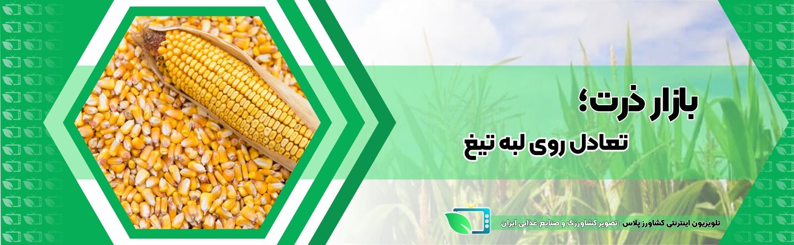 بازار ذرت؛ تعادل روی لبه تیغ