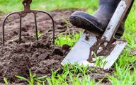 بحران خاموش در خاک: زنگ هشدار برای تأثیرات مخرب گردوغبار بر کشاورزی ایران