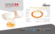 آمار جوجه ریزی بخش مرغ تخم گذار خرداد ماه