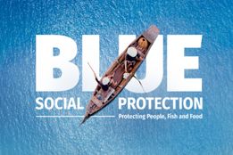 «حمایت اجتماعی آبی»؛ پیوند نوآورانه برای نجات ماهی‌ها، مردم و غذا