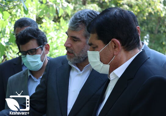 گالری