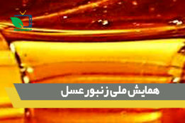 اولین همایش ملی زنبور عسل و صنایع وابسته 