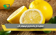 حمایت از باغداران لیموترش 