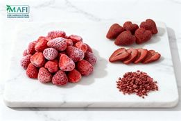 آینده صنعت غذا با نوآوری مصری‌ها گشوده می‌شود