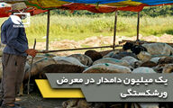 یک میلیون دامدار در معرض ورشکستگی