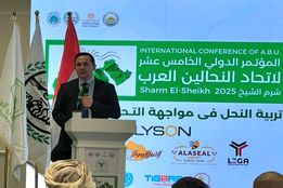 بزرگ‌ترین گردهمایی سالانه زنبورداران منطقه در شرم‌الشیخ/ پانزدهمین کنفرانس اتحادیه زنبورداران عرب