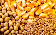 مصوبه استمهال چک مرغداران بابت نهاده های دامی ابلاغ شد