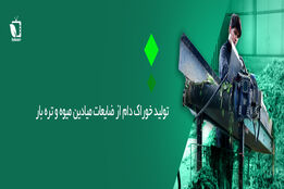 تولید خوراک دام از ضایعات میدان میوه و تره بار