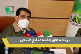 کاهش46 درصدی آتش سوزی جنگل ها