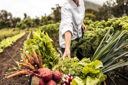 کشاورزی ارگانیک به‌طور فزاینده‌ای برای کشاورزان وایومینگ سودآورتر شد