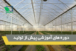 دوره های آموزشی پیش از تولید