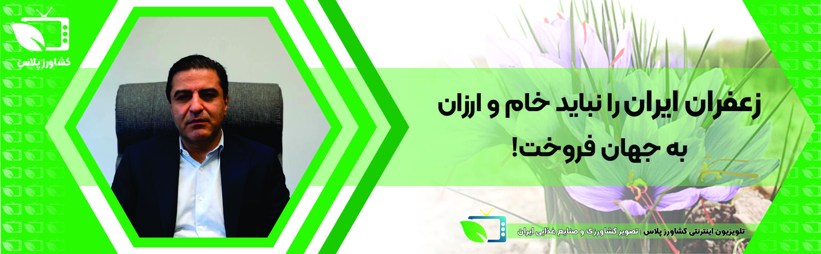  زعفران ایران را نباید خام و ارزان به جهان فروخت!