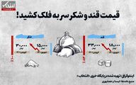 قیمت قند و شکر سر به فلک کشید!