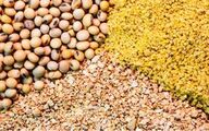 تداوم واردات نهاده های دامی از بنادر شمال و جنوب کشور با وجود جنگ