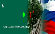 افق روشن پیش روی صادرکنندگان محصولات کشاورزی