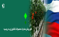 افق روشن پیش روی صادرکنندگان محصولات کشاورزی