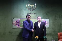 تاخت اسب‌ها، گام شترها؛ اتحاد سنت و قدرت در مسیر توسعه ورزش بومی